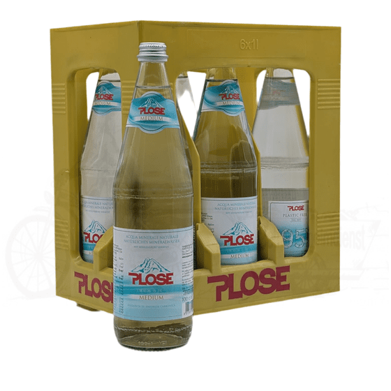 Plose Hochgebirgswasser medium 6 x 1,0l Glas