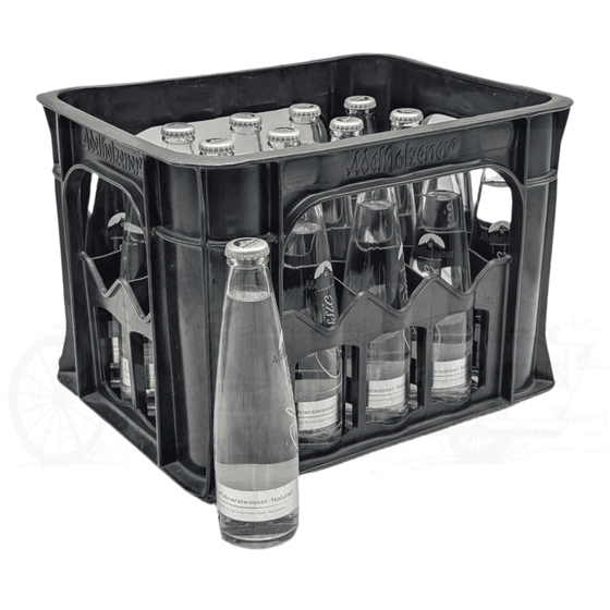 Adelholzener Gastro naturell 20 x 0,25l Glas
