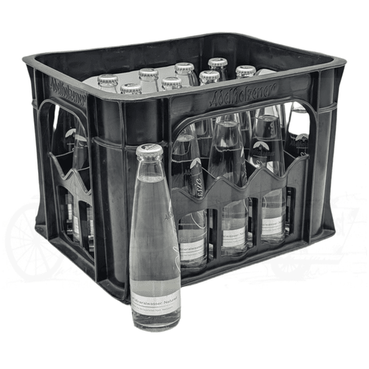 Adelholzener Gastro naturell 20 x 0,25l Glas